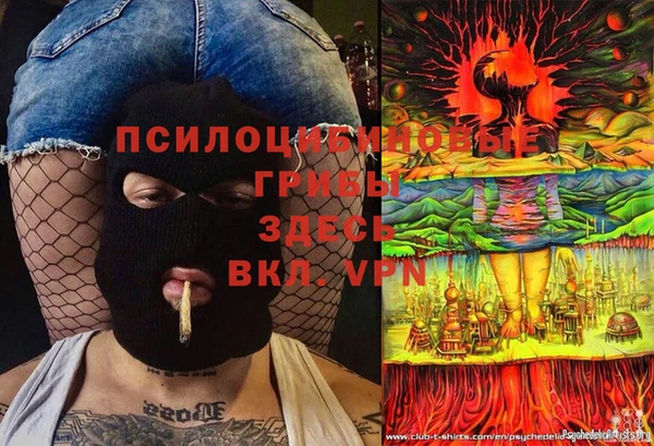 метадон Белокуриха