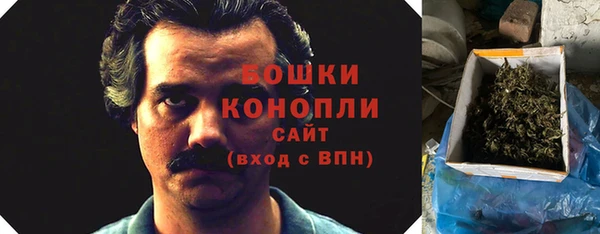 PSILOCYBIN Белоозёрский