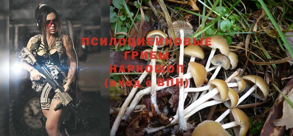 эйфоретик Лабытнанги