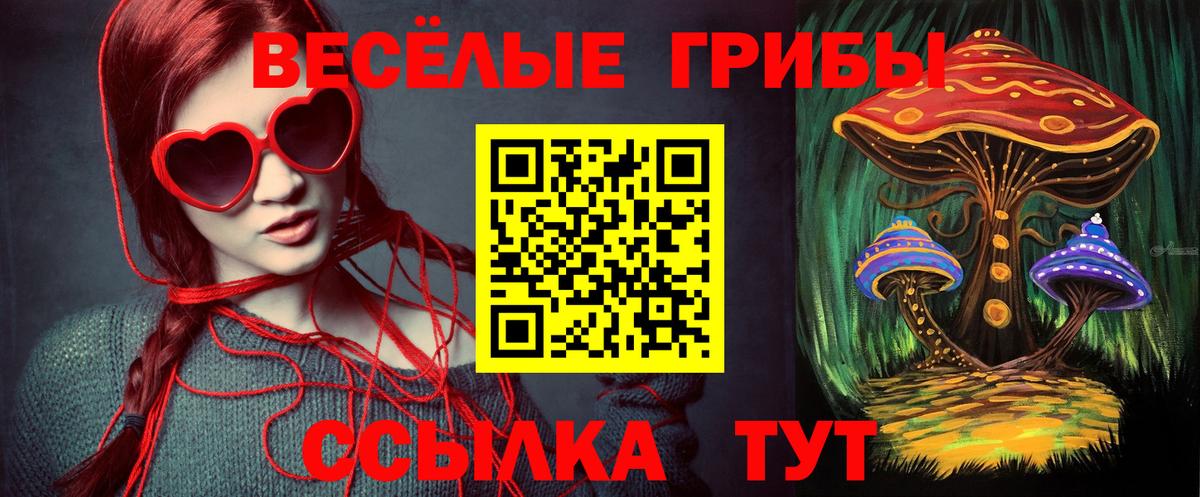 Псилоцибиновые грибы GOLDEN TEACHER Белогорск