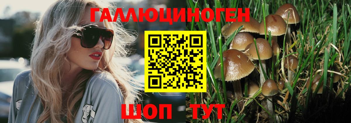Псилоцибиновые грибы MAGIC MUSHROOMS Белогорск