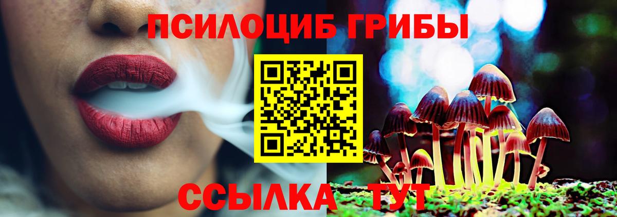 Галлюциногенные грибы GOLDEN TEACHER  Псилоцибиновые грибы прущие грибы  Белогорск 