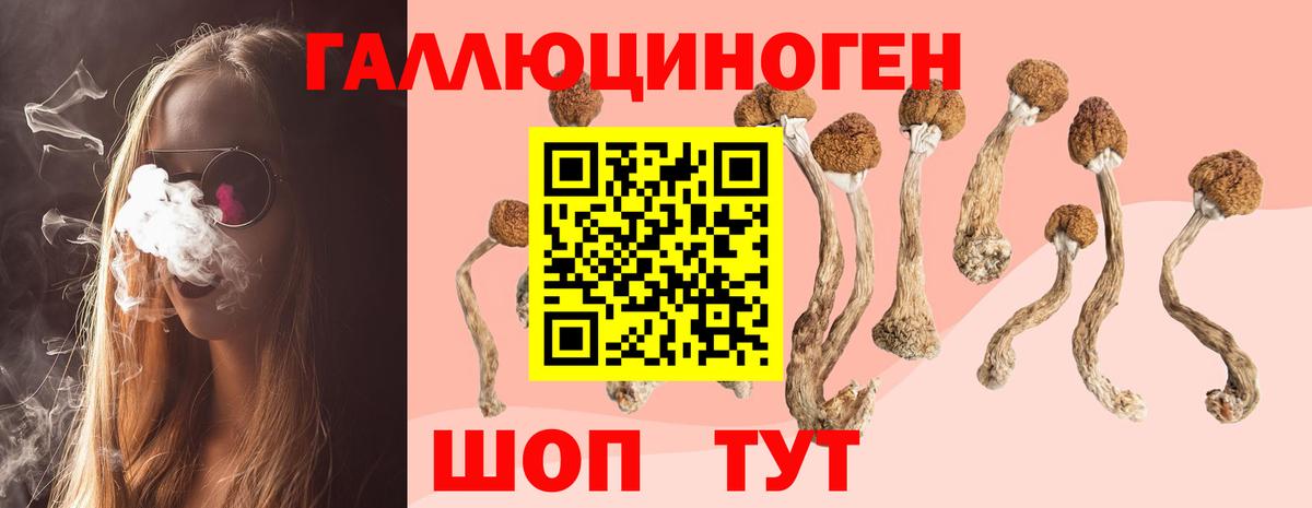Белогорск  Псилоцибиновые грибы Magic Shrooms  Вход с VPN 