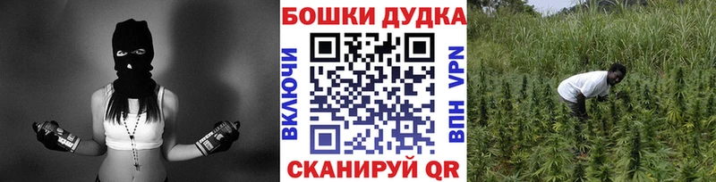 Бошки марихуана планчик Белогорск